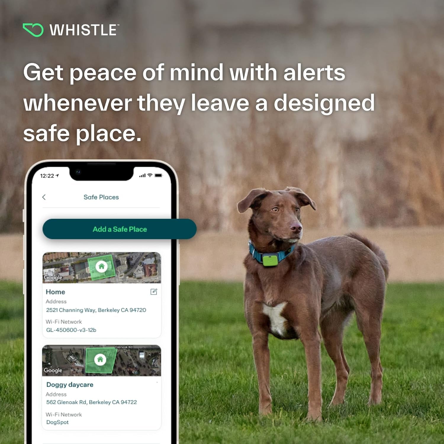 GPS + Health + Fitness - Ultimate Dog GPS Tracker plus Dog Health & Fitness Monitor, Waterproof, Safe Place Escape Alerts, Built-In Night Light,Fits on Dog Collar, GO Explore, Grey