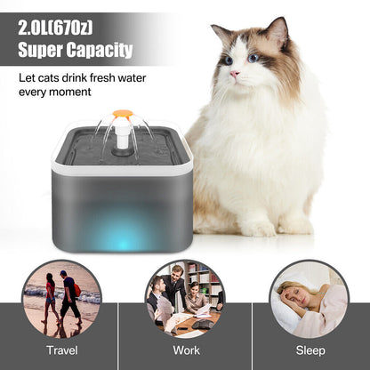 2L Pet Dog Cat Water Fountain Automatic LED Auto Dish Drinking Dispenser Bowl